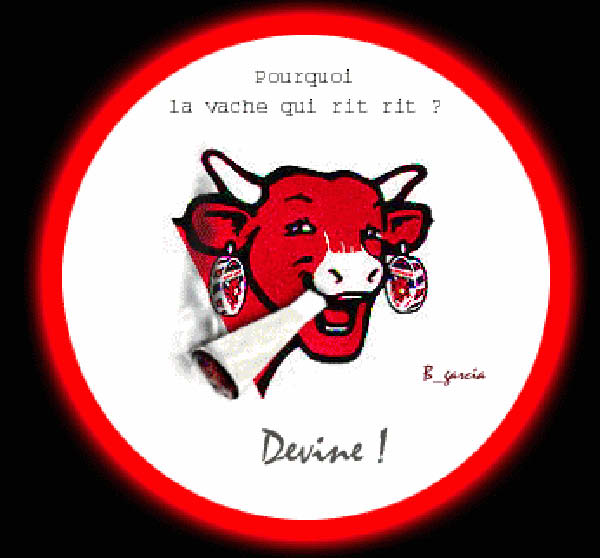 HUMOUR - vache kiri-humourenvrac